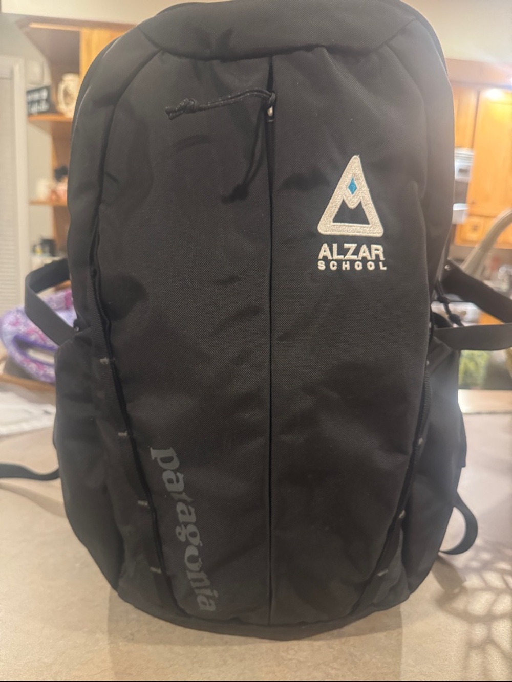 Patagonia Black Men's Backpack